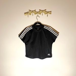 Adidas Crop Boxy Tee